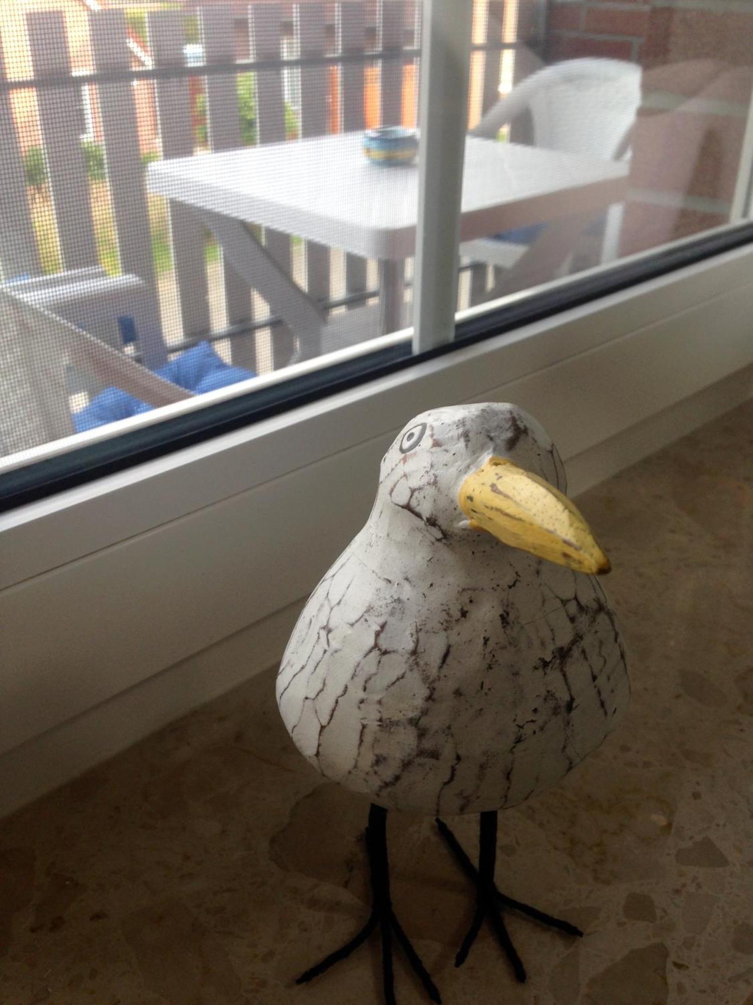 Nordsee-Nest Ostochtersum エクステリア 写真